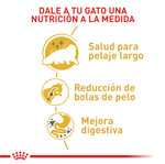 Royal Canin Persian Adulto 2Kg