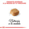 Royal Canin Yorkshire terrier 4,54kg
