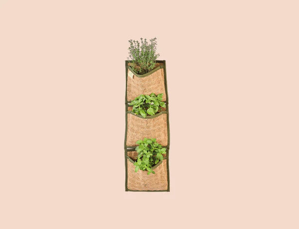 Jardín Vertical de Fibra de Coco x 3