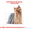 Royal Canin Yorkshire terrier 4,54kg