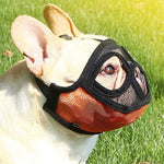 Bozal para Perros Ñatos