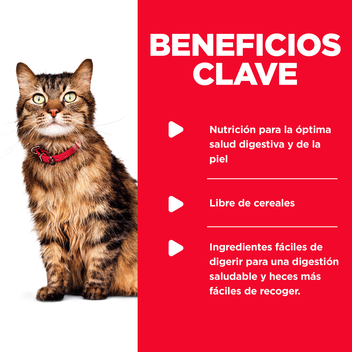 Comida Húmeda para Gato Hills Estomago y Piel Sensible 2.9 Onz