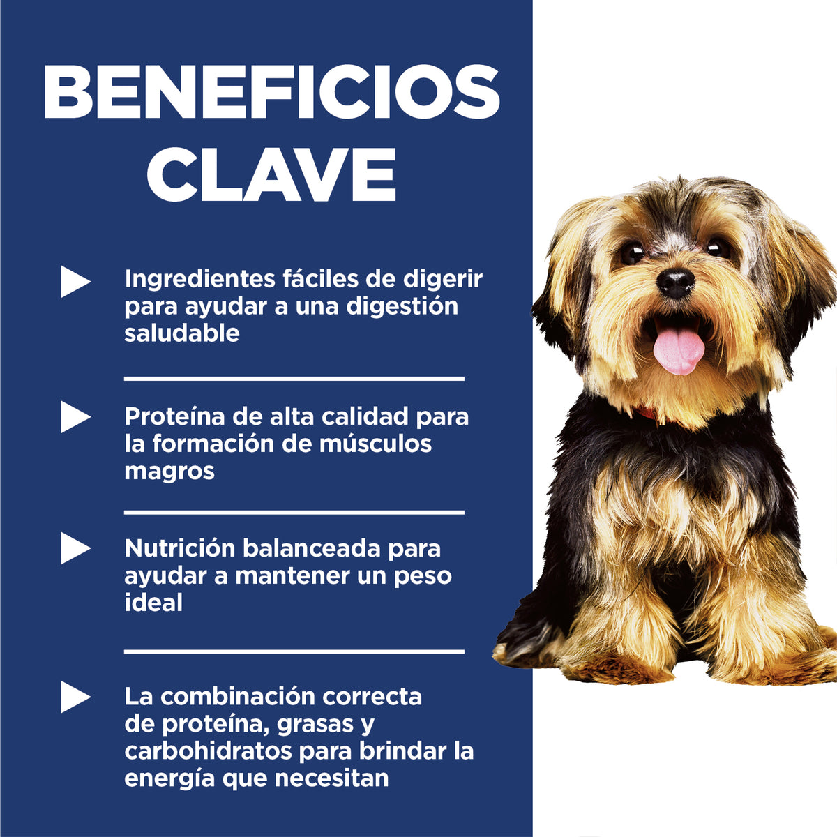 Hill's Science DietAlimento Húmedo para Perro Adulto Estofado de Pollo y Vegetales 99 g