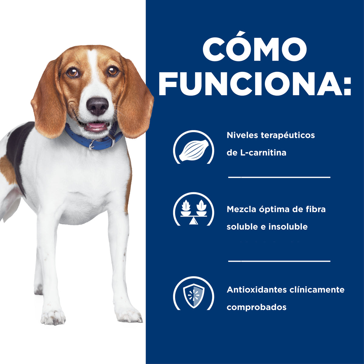 Comida para perro Hills Reducción de peso r/d 1.5Kg