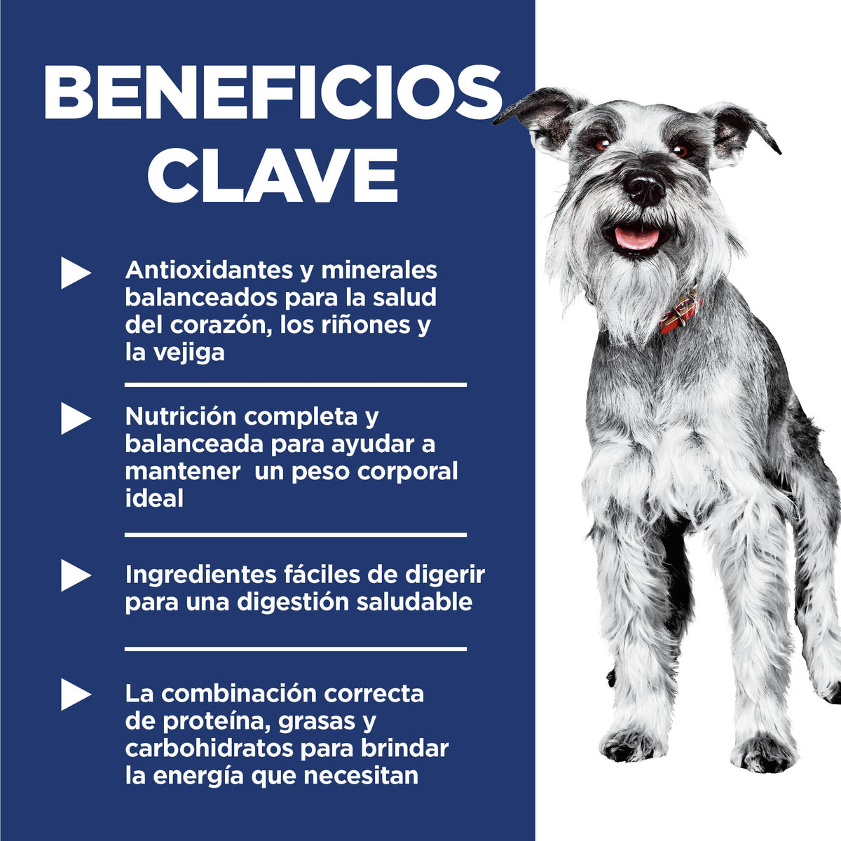 Comida para perro Hills 7+ Razas Miniatura 4.5 Lbs