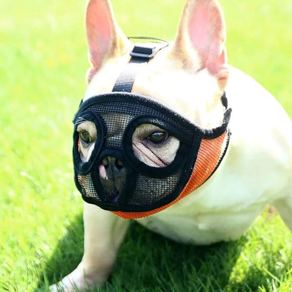 Bozal para Perros Ñatos