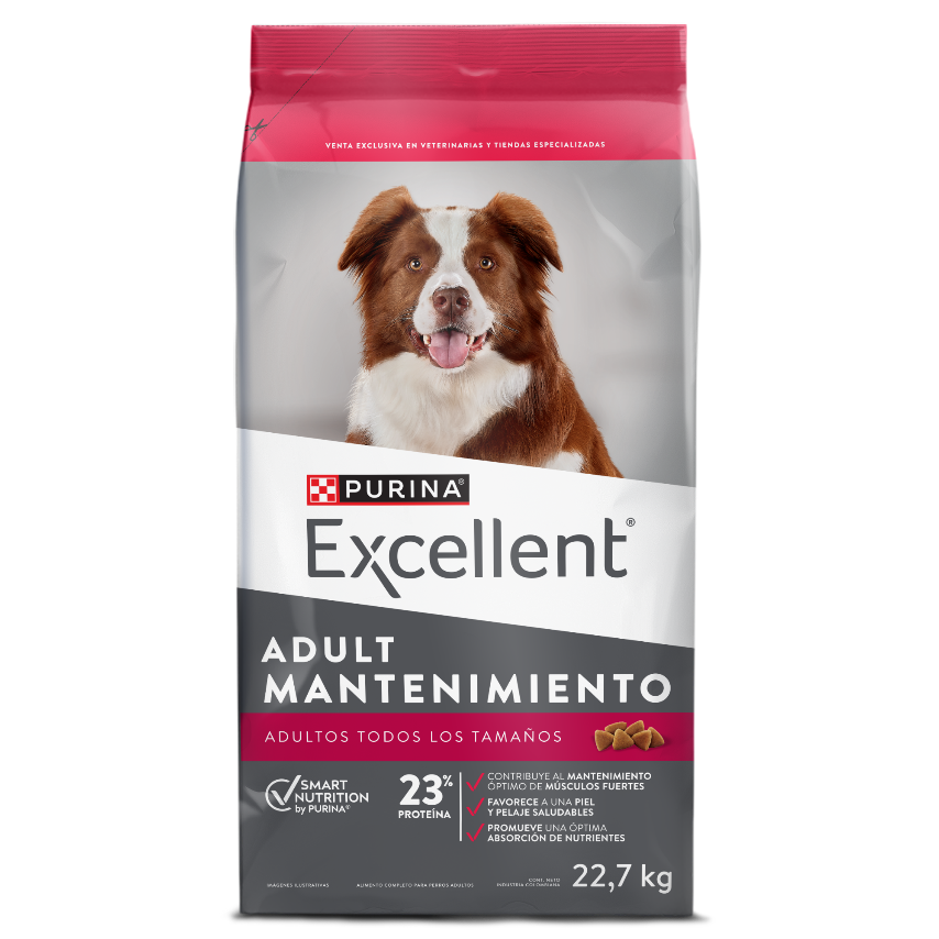 Excellent Perro Adulto Mantenimiento