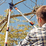 Tijera de Poda Mango Extensible Tramontina