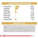 Royal Canin Persian Adulto 2Kg