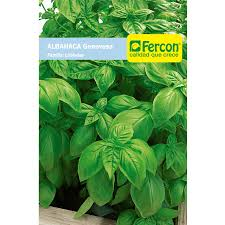 Albahaca Genovesa