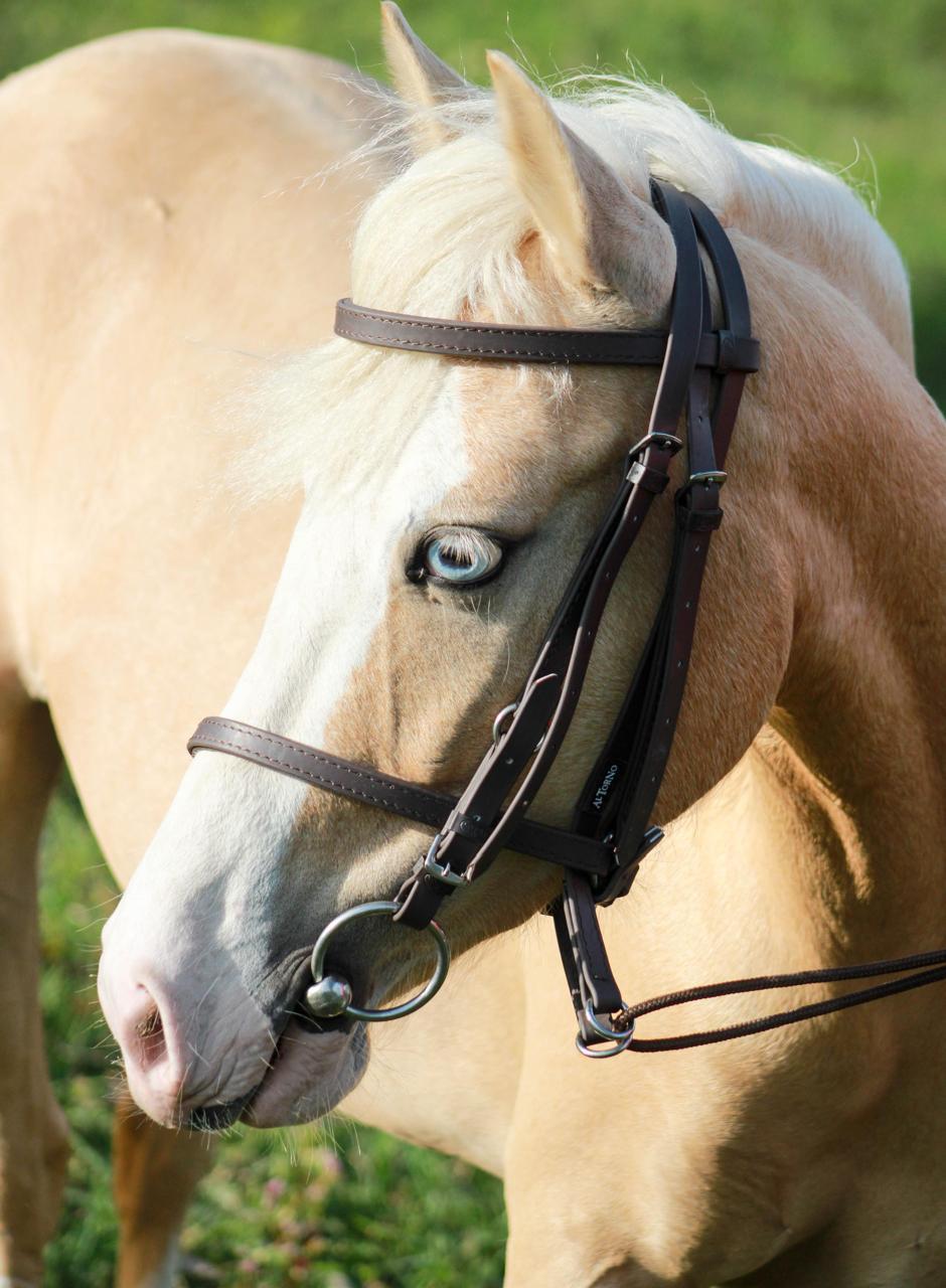 Apero Cabeza Sintetico Cargafreno Equino