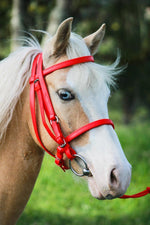 Apero Cabeza Sintetico Cargafreno Equino