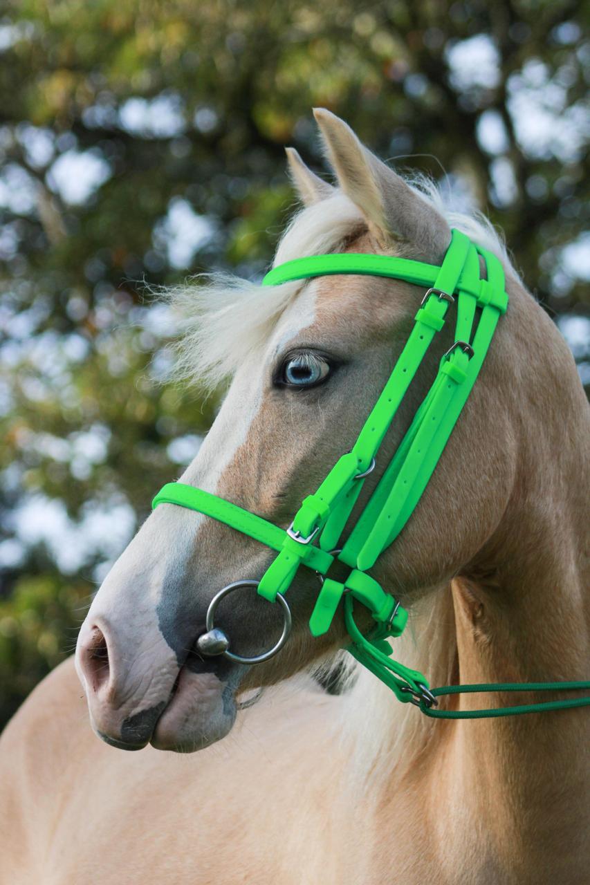 Apero Cabeza Sintetico Cargafreno Equino