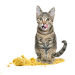 Arena De Maíz Petoys 4 kg