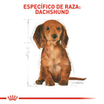 Royal Canin Dachshund Puppy 1.13 kg