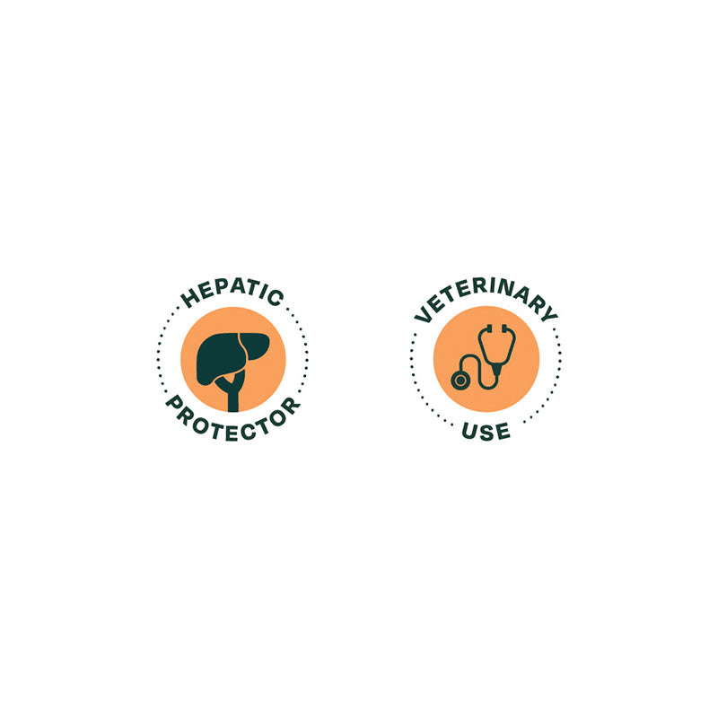 Bonnat Veterinary Diet Perro Hepatic Suport 2 Kg