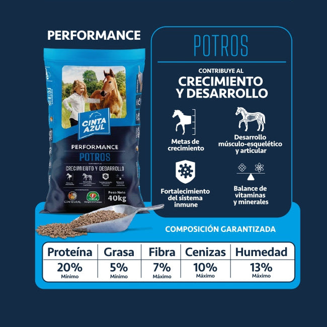 Cinta Azul Potros x 40 Kg