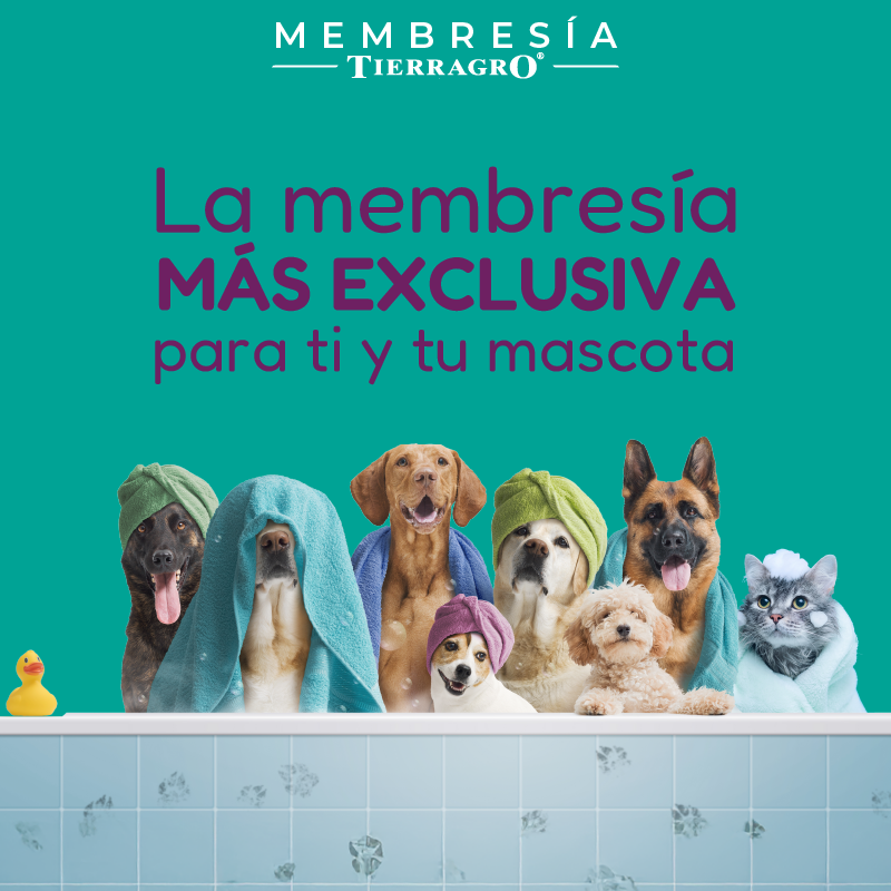 Membresía cuidado total