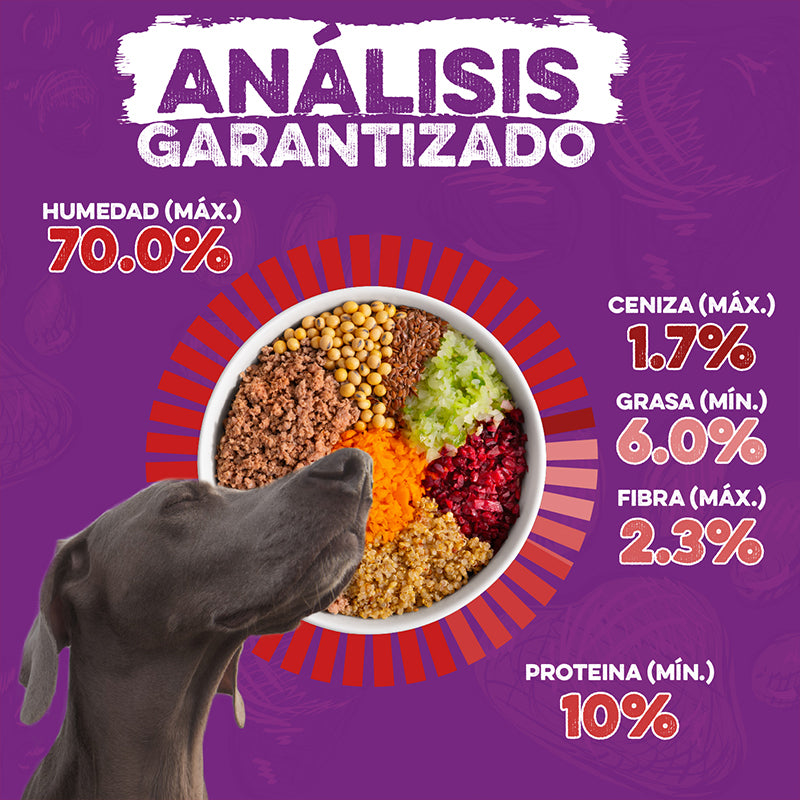 Dingo Nutri Bowl 400 g