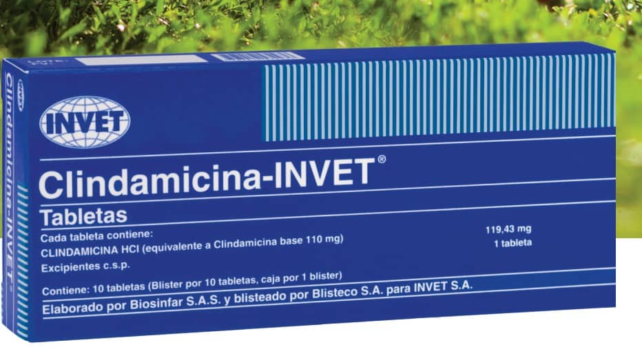 Clindamicina oral blister x 10 tabletas