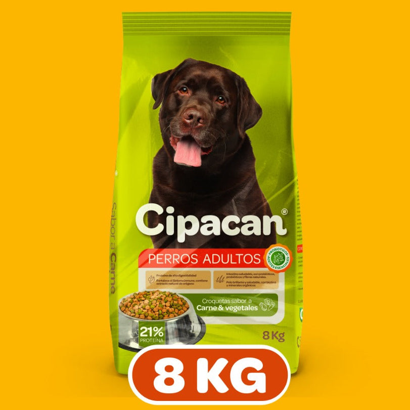 Cipacan Croquetas Carne Y Vegetales