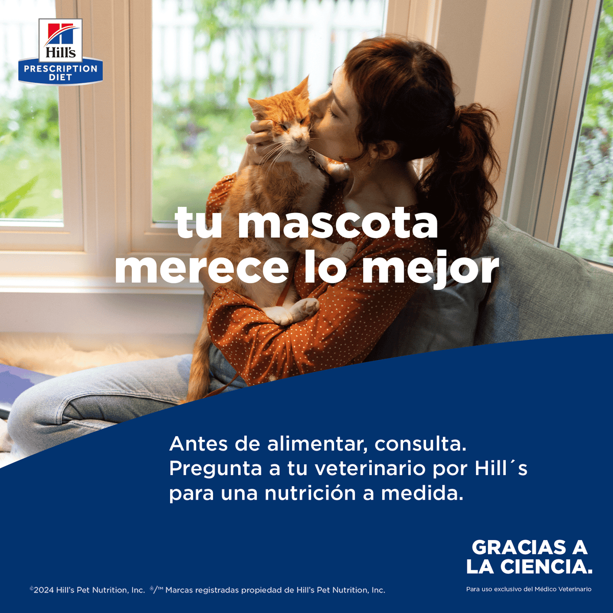 Comida Húmedapara gatos Hills Prescription Diet k/d Cuidado Renal 5.5 Onz