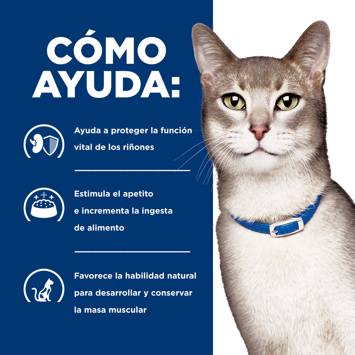Comida Húmedapara gatos Hills Prescription Diet k/d Cuidado Renal 5.5 Onz