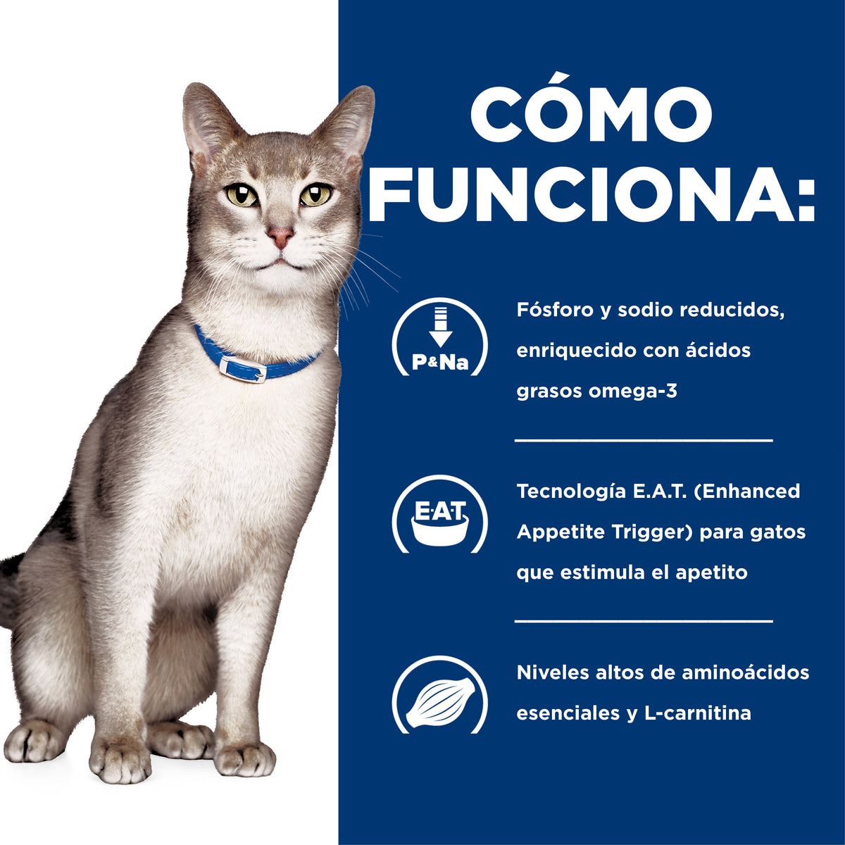 Comida Húmedapara gatos Hills Prescription Diet k/d Cuidado Renal 5.5 Onz