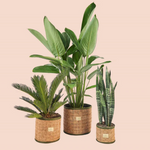 Cesta Redonda de Fibra de Coco Natural