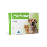 Clindamin Blister x 10 Tabletas