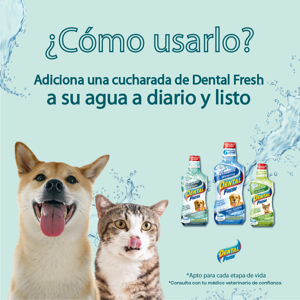 Spray Oral Dental Fresh Original Dogh 80Oz