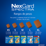 Nexgard Spectra Desparasitante para Perros