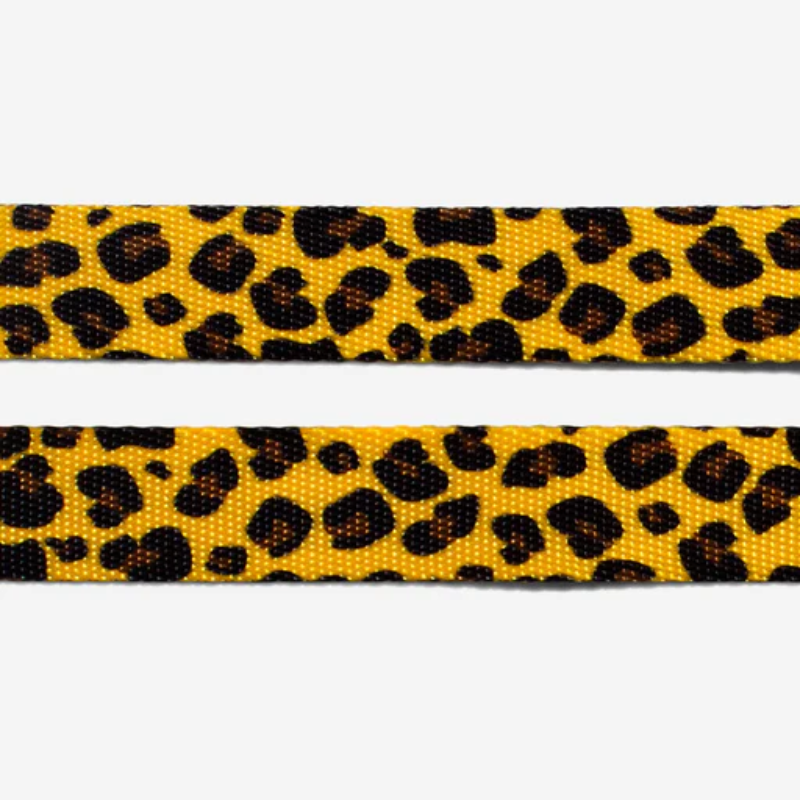 Zeedog Gato Collar Honey