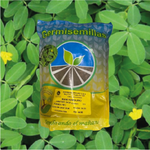 Semilla De Maní Forrajero x 500 g