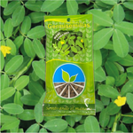 Semilla De Maní Forrajero x 25 g