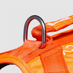 Arnés Felcan para Perro Talla L