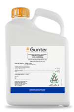 Gunter Gfa x 5L