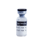 Vacuna Canigen MHA2P Puppy (Cachorro) x 1 ml Contra Moquillo. Hepatitis y Parvovirus