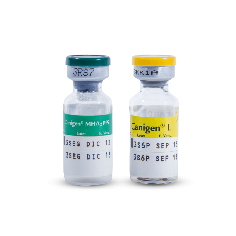 Vacuna Canigen MHA2PPI/L Quintuple x 1 ml para Perros Contra 5 Enfermedades