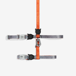 Zeedog Suede Harness + Leash Set Arnés + Correa para Perros