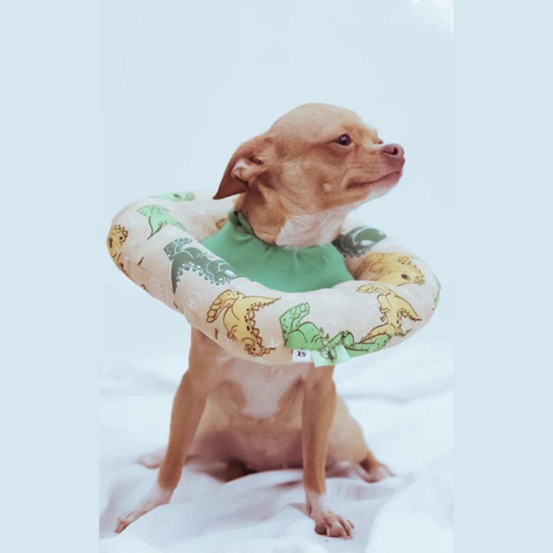 Dona Isabelina