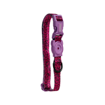 Zeedog Collar Lords Of Zee.Town Brain para Perros