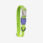 Zeedog Collar Nox Lumen para Perros
