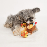 Leon Esponjoso Cachorro