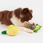 Aguacate Juguete Perro