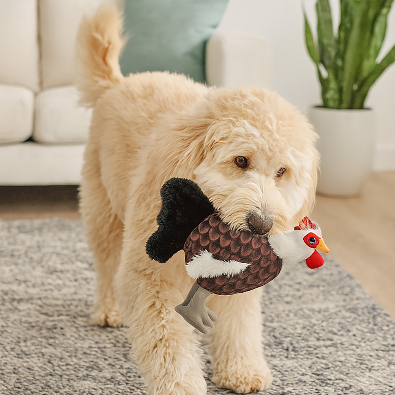 Gallo Juguete Para Perro