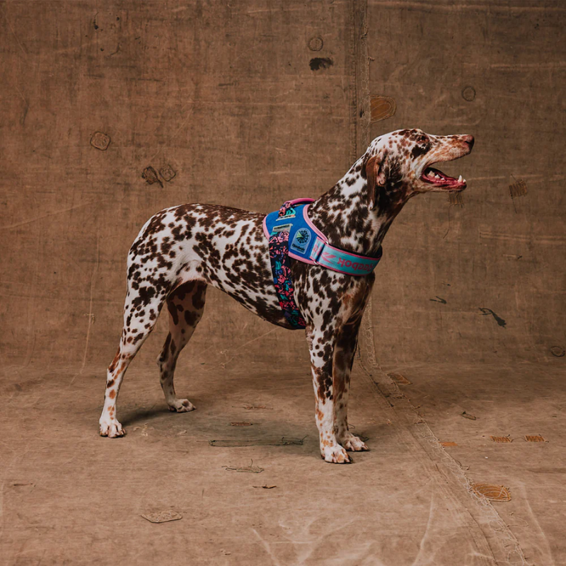 Zeedog Aerobic Flyharness Arnés para Perros
