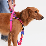 Zeedog Glitch Error #500 Softer Walk Harness Arnés para Perros