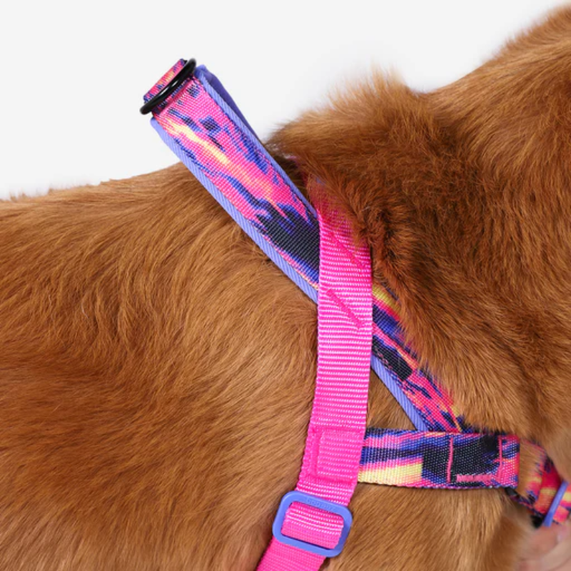 Zeedog Glitch Error #500 Softer Walk Harness Arnés para Perros