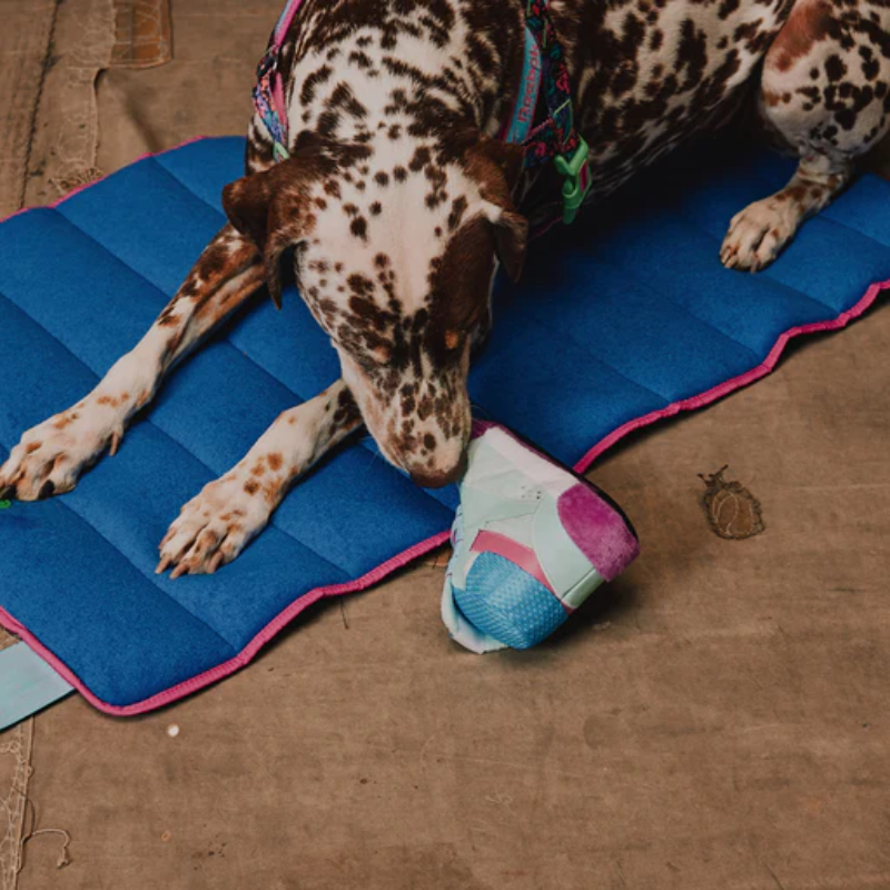 Zeedog Freestyle Plush Sneaker Toy Medium Juguete para Perros